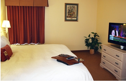 Hamilton Birmingham-bessemer Hotel